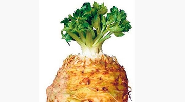 Kerevizin Faydaları ve Kullanımı